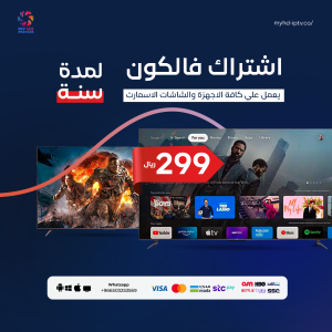 اشتراك فالكون FALCON سنة